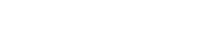 Lineva logo