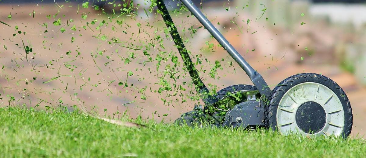 5 savjeta za održavanje savršenog travnjaka kroz cijelu godinu