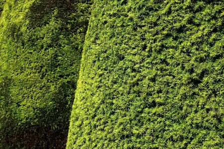 Top 5 prednosti košnje trave i uređenja okoliša za Vašu poslovnu zgradu
